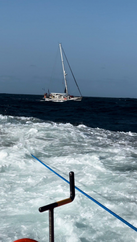 Velero remolcado tras interacción con orcas